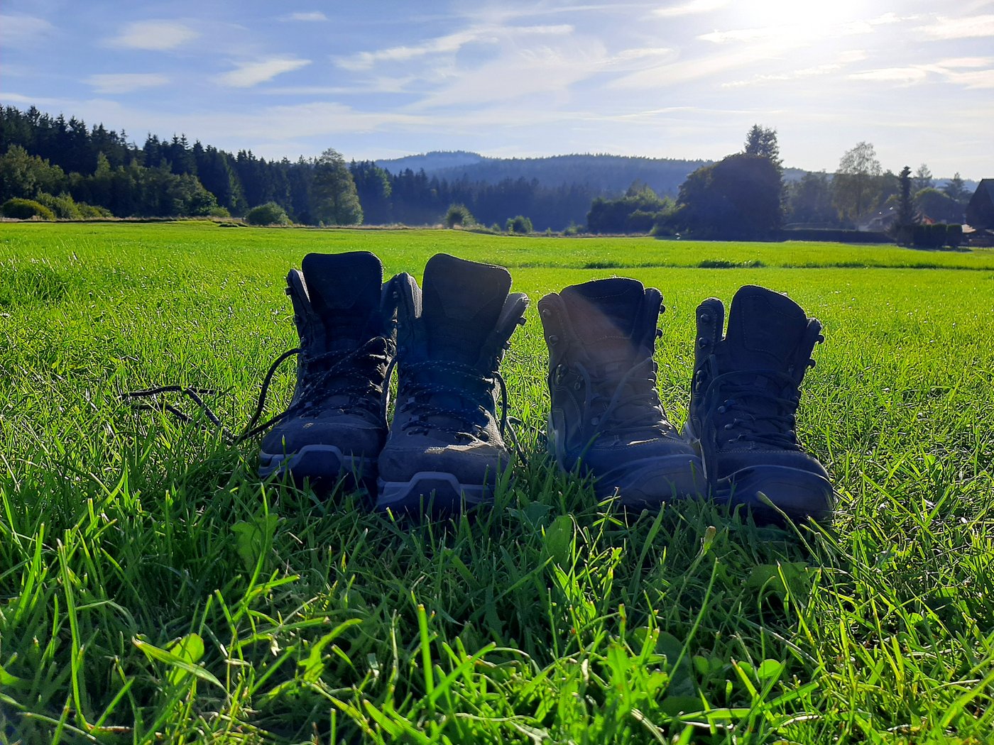 Wanderschuhe auf einer Wiese - Symbolbild für Nadelfilze für die Schuhindustrie